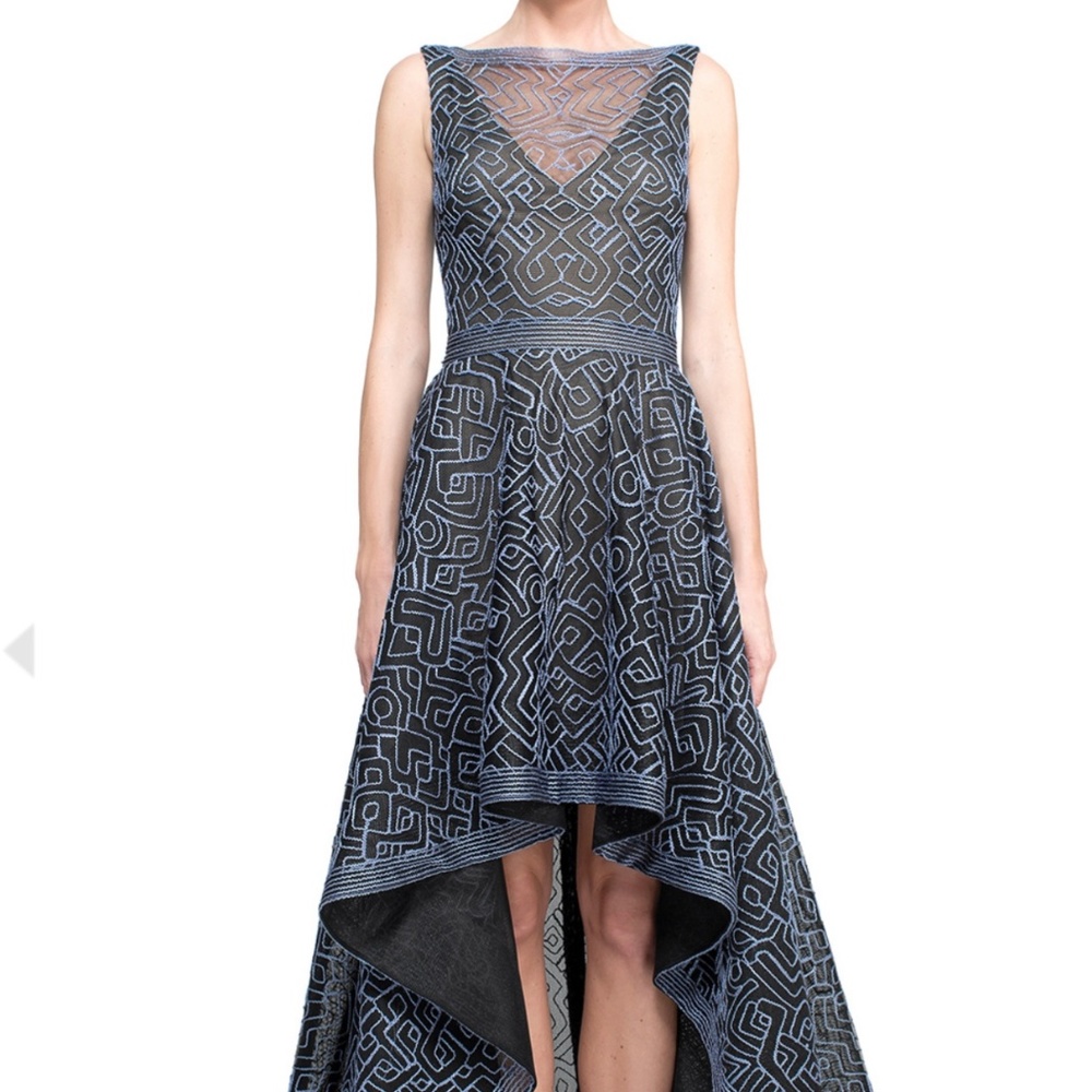 Amazing and gorgeous tadashi shoji high low dress